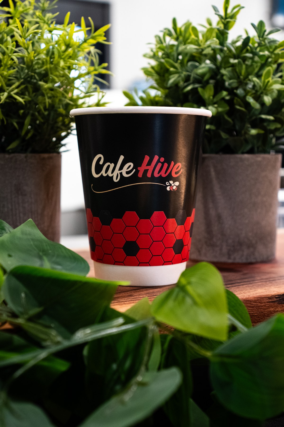 Cafe Hive branded takeaway cup surrounded by green plants.